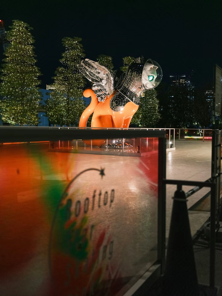 Winter Chill Session